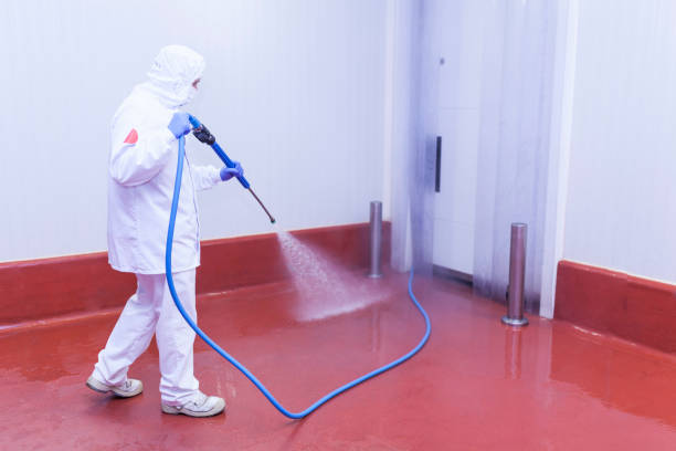 Best Sign and Awning Cleaning  in Lake Holm, WA