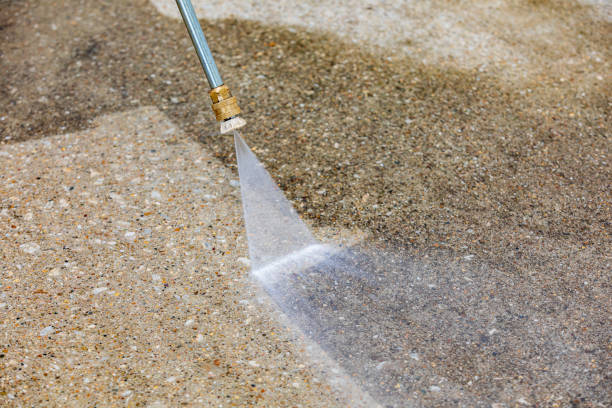 Best Patio and Deck Pressure Washing  in Lake Holm, WA